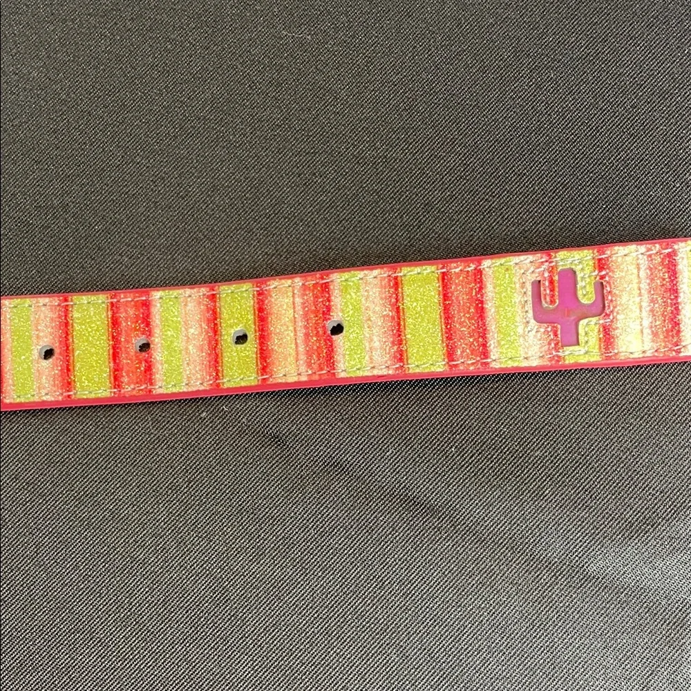 Blinking cactus Colorful Striped Belt with Rhinestone Buckle western